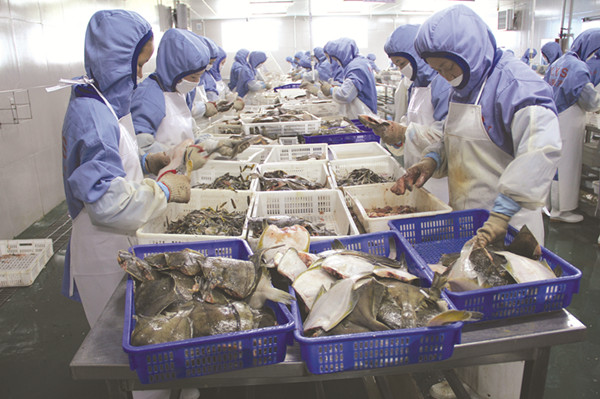 图为珲春海产品工业园内一企业繁忙的加工车间.